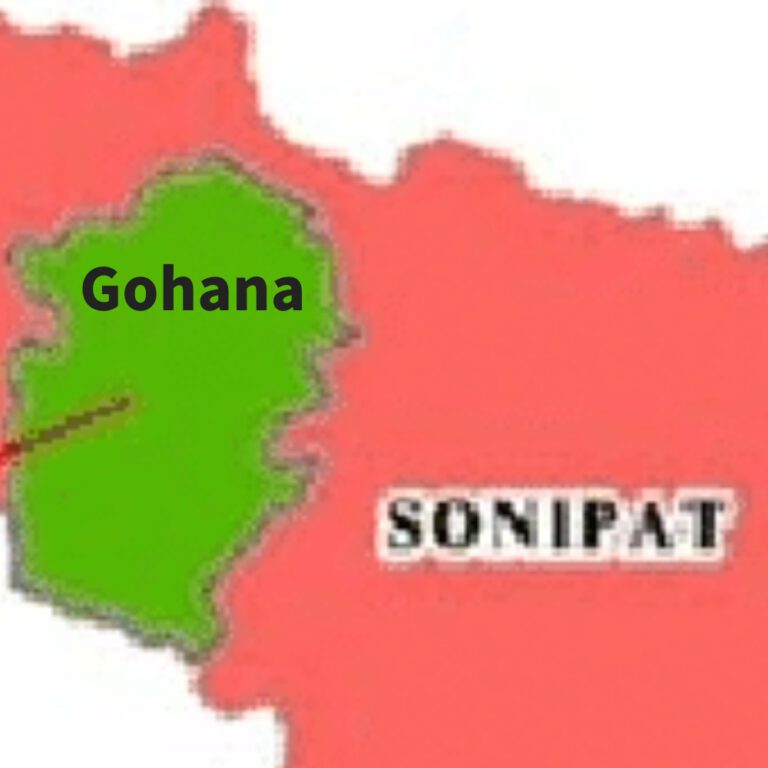 gohanaImage